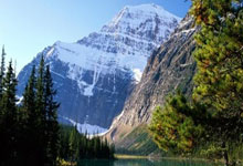 游泳世界杯新加坡站 张正伟男子100米蝶泳夺铜.